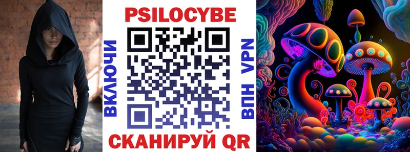 Псилоцибиновые грибы MAGIC MUSHROOMS  закладка  Гурьевск 